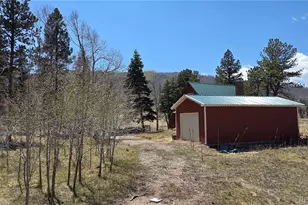 1010 Foy Pl, Fort Garland, CO 81133 - Photo 31