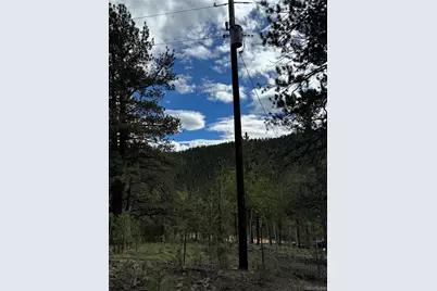 414 Hall Road, Bailey, CO 80421 - Photo 7