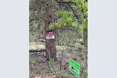 414 Hall Road, Bailey, CO 80421 - Photo 1