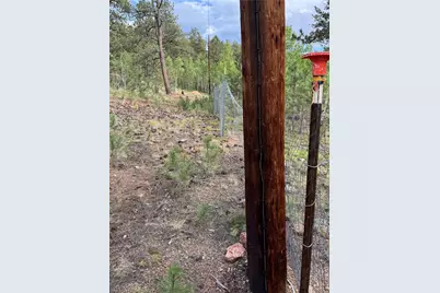 414 Hall Road, Bailey, CO 80421 - Photo 19