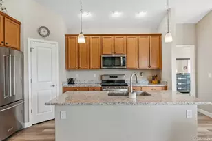 2060 Peralta Loop, Castle Rock, CO 80104 - Photo 11