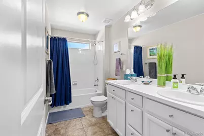 4469 McMurdo Court, Castle Rock, CO 80108 - Photo 29