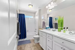 4469 McMurdo Ct, Castle Rock, CO 80108 - Photo 29