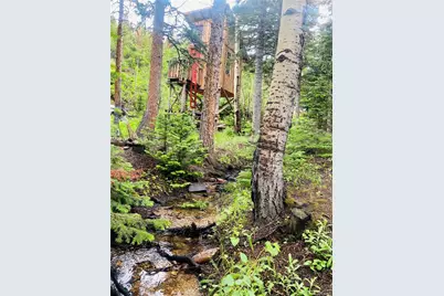241 County Road 126, Nederland, CO 80466 - Photo 5