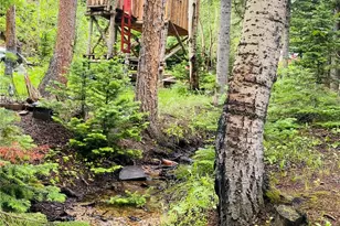 241 Co Rd 126, Nederland, CO 80466 - Photo 5