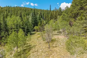 241 Co Rd 126, Nederland, CO 80466 - Photo 37