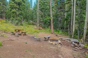 241 Co Rd 126, Nederland, CO 80466 - Photo 39
