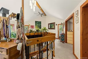 241 Co Rd 126, Nederland, CO 80466 - Photo 23