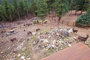 16 Auk Ln, Bailey, CO 80421 - Photo 37