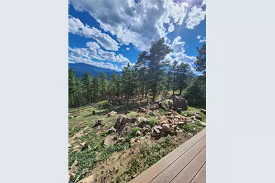 16 Auk Lane, Bailey, CO 80421 - Photo 35