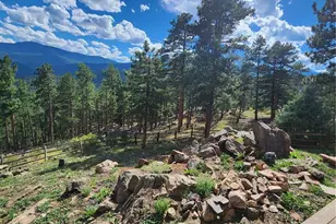 16 Auk Ln, Bailey, CO 80421 - Photo 35