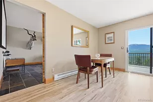 16 Auk Ln, Bailey, CO 80421 - Photo 9
