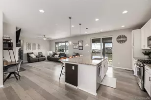 898 Doe Run Ln, Castle Rock, CO 80108 - Photo 13