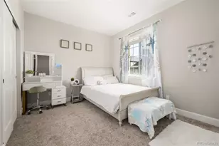 898 Doe Run Ln, Castle Rock, CO 80108 - Photo 31