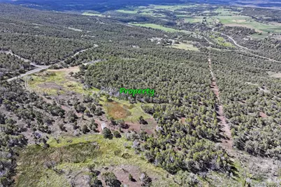 12705 55 Road, Collbran, CO 81624 - Photo 23