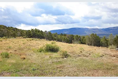 12705 55 Road, Collbran, CO 81624 - Photo 9