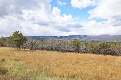 12705 55 Road, Collbran, CO 81624 - Photo 13