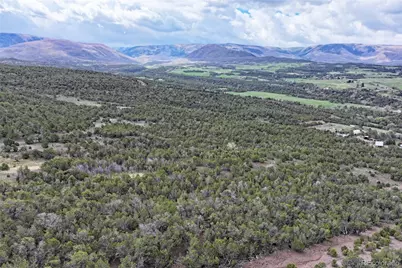 12705 55 Road, Collbran, CO 81624 - Photo 27