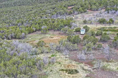 12705 55 Road, Collbran, CO 81624 - Photo 19