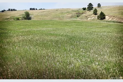 20525 Eagle Feather Lane, Elbert, CO 80106 - Photo 7