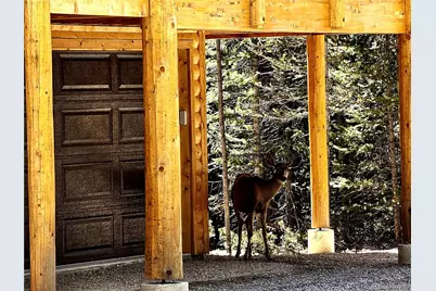 228 Gold Trail, Fairplay, CO 80440 - Photo 5