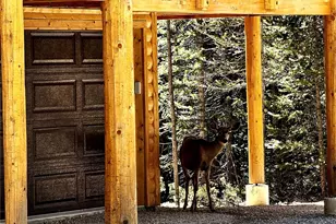 228 Gold Trail, Fairplay, CO 80440 - Photo 5