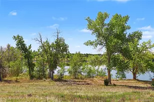 4310 S Andes Way, Aurora, CO 80015 - Photo 23