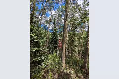 288 Roberts Road, Alma, CO 80420 - Photo 19