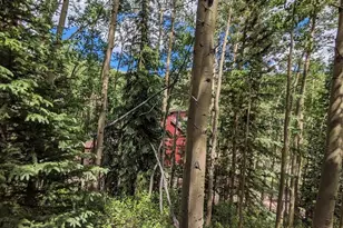 288 Roberts Rd, Alma, CO 80420 - Photo 19