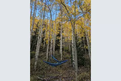 288 Roberts Road, Alma, CO 80420 - Photo 17