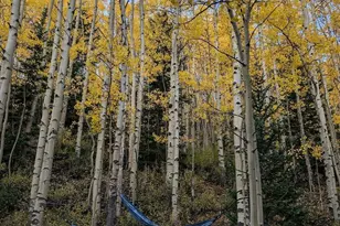 288 Roberts Rd, Alma, CO 80420 - Photo 17