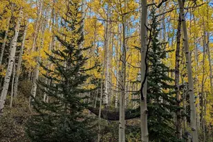 288 Roberts Rd, Alma, CO 80420 - Photo 21