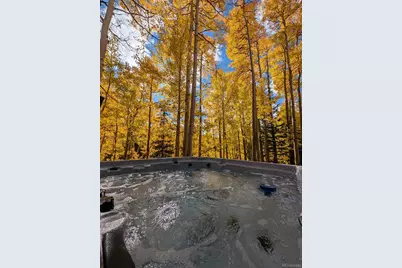 288 Roberts Road, Alma, CO 80420 - Photo 15