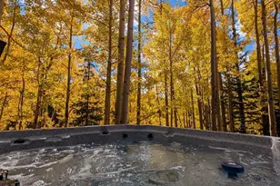 288 Roberts Rd, Alma, CO 80420 - Photo 15