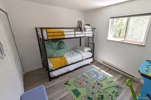 288 Roberts Rd, Alma, CO 80420 - Photo 9