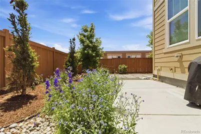 9090 Franconia Court, Parker, CO 80134 - Photo 41