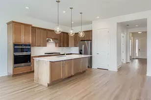 435 Basin Daisy St, Castle Rock, CO 80104 - Photo 9