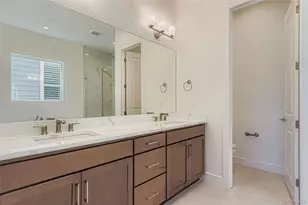 435 Basin Daisy St, Castle Rock, CO 80104 - Photo 19