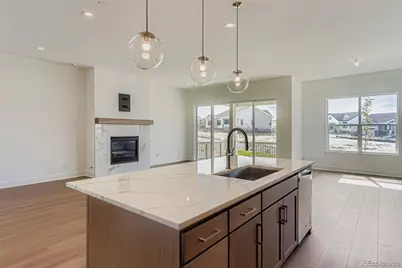 435 Basin Daisy Street, Castle Rock, CO 80104 - Photo 11