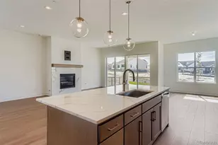 435 Basin Daisy St, Castle Rock, CO 80104 - Photo 11