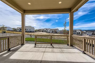 435 Basin Daisy Street, Castle Rock, CO 80104 - Photo 25