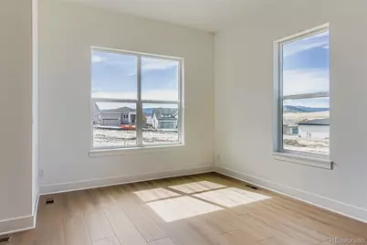 435 Basin Daisy Street, Castle Rock, CO 80104 - Photo 13