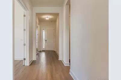 435 Basin Daisy Street, Castle Rock, CO 80104 - Photo 5