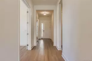 435 Basin Daisy St, Castle Rock, CO 80104 - Photo 5