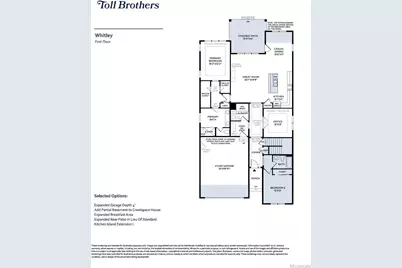 435 Basin Daisy Street, Castle Rock, CO 80104 - Photo 29