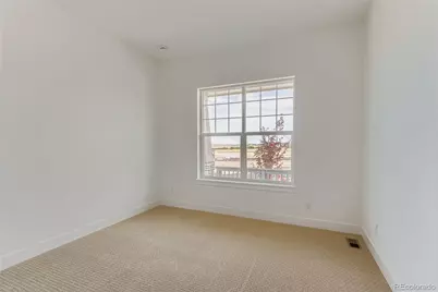 435 Basin Daisy Street, Castle Rock, CO 80104 - Photo 21