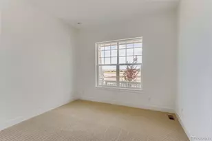 435 Basin Daisy St, Castle Rock, CO 80104 - Photo 21