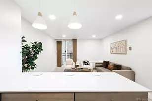 830 N Sherman Street, Denver, CO 80203 - Photo 7