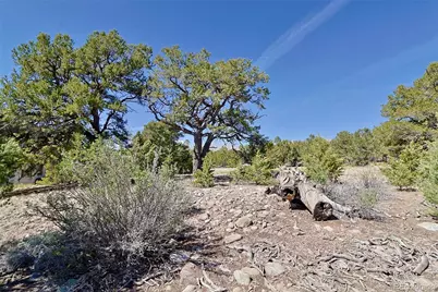 3921 Cordial Way, Crestone, CO 81131 - Photo 3