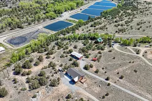 14124 Co Rd 162, Nathrop, CO 81236 - Photo 5